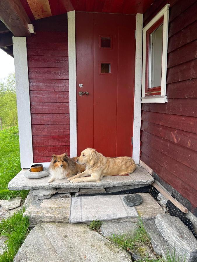 Bua Lejlighed Viksdalen Eksteriør billede